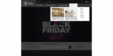 海外嬰幼兒用品網(wǎng)站的設(shè)計(jì)與代理服務(wù)